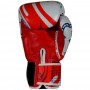 Twins Special FBGVL4-67 "Yant" Боксерские Перчатки Тайский Бокс 